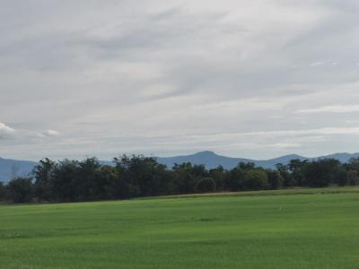 ที่ดิน 4500000 สุโขทัย เมืองสุโขทัย บ้านกล้วย
