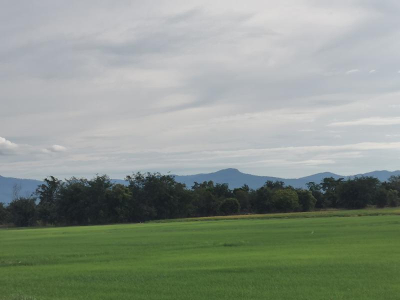 ที่ดิน 4500000 สุโขทัย เมืองสุโขทัย บ้านกล้วย