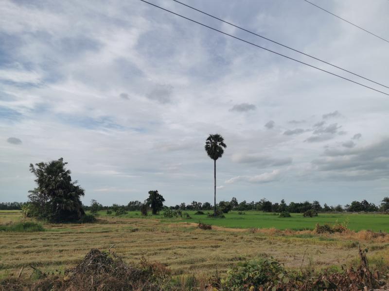 ที่ดิน 4500000 สุโขทัย เมืองสุโขทัย บ้านกล้วย